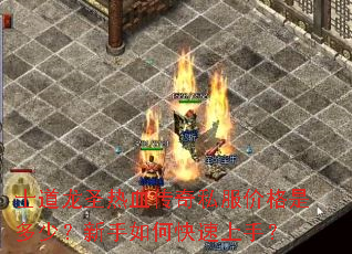士道龙圣热血传奇私服价格是多少?新手如何快速上手? 士道龙圣热血传奇私服价格是多少?新手如何快速上手?