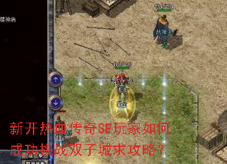 新开热血传奇SF玩家如何成功挑战双子城求攻略? 新开热血传奇SF玩家如何成功挑战双子城求攻略?