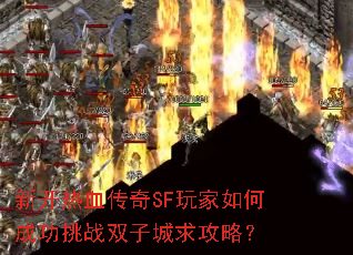 新开热血传奇SF玩家如何成功挑战双子城求攻略? 新开热血传奇SF玩家如何成功挑战双子城求攻略?