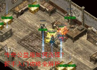 传奇公益服如何选择?新手入门攻略全解析 传奇公益服如何选择?新手入门攻略全解析