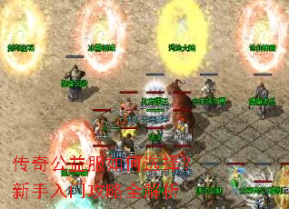 传奇公益服如何选择?新手入门攻略全解析 传奇公益服如何选择?新手入门攻略全解析