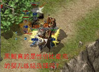 黑蛆真的是性价比最高的婴儿练级选择吗? 黑蛆真的是性价比最高的婴儿练级选择吗?