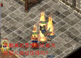 黑蛆真的是性价比最高的婴儿练级选择吗? 黑蛆真的是性价比最高的婴儿练级选择吗?