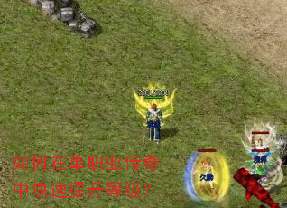 ����ڵ�ְҵ�����п��������ȼ���