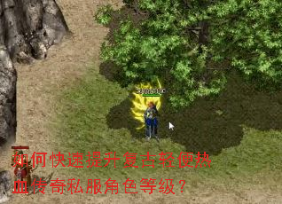 如何快速提升复古轻便热血传奇私服角色等级? 如何快速提升复古轻便热血传奇私服角色等级?