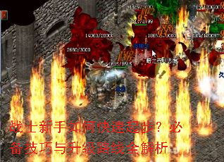 战士新手如何快速起步?必备技巧与升级路线全解析 战士新手如何快速起步?必备技巧与升级路线全解析