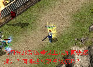 传奇私服新区等级上限如何快速提升?有哪些高效冲级技巧? 传奇私服新区等级上限如何快速提升?有哪些高效冲级技巧?