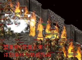 ����NPCλ�����ģ���ϸ�����빦��ָ��