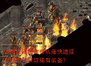 如何在团团传奇私服快速提升战力与获取稀有装备? 如何在团团传奇私服快速提升战力与获取稀有装备?