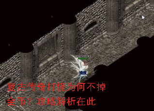 复古传奇打怪为何不掉金币?攻略解析在此 复古传奇打怪为何不掉金币?攻略解析在此