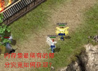 �ڴ漯��ϡ�еĲ��־�����λ�ȡ��