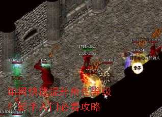 如何快速提升角色等级?新手入门必看攻略 如何快速提升角色等级?新手入门必看攻略