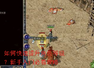 如何快速提升角色等级?新手入门必看攻略 如何快速提升角色等级?新手入门必看攻略