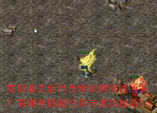 楚留香之新月传奇如何快速通关?有哪些隐藏任务与武功秘籍? 楚留香之新月传奇如何快速通关?有哪些隐藏任务与武功秘籍?