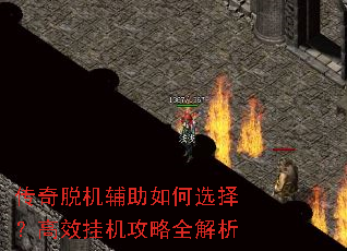 �����ѻ��������ѡ�񣿸�Ч�һ�����ȫ����