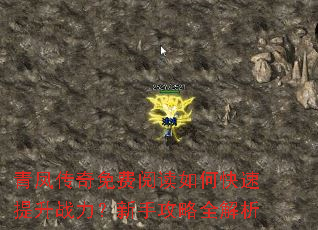 青凤传奇免费阅读如何快速提升战力?新手攻略全解析 青凤传奇免费阅读如何快速提升战力?新手攻略全解析