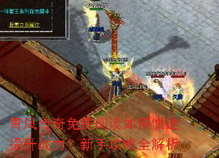 青凤传奇免费阅读如何快速提升战力?新手攻略全解析 青凤传奇免费阅读如何快速提升战力?新手攻略全解析