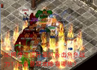 如何快速提升暴风合击角色战力?装备获取攻略有哪些? 如何快速提升暴风合击角色战力?装备获取攻略有哪些?