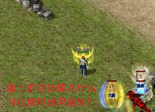 道士群隐技能在什么时机使用效果最佳? 道士群隐技能在什么时机使用效果最佳?