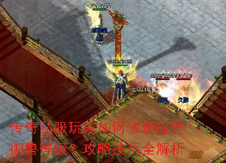 传奇私服玩家如何快速提升御兽等级?攻略技巧全解析 传奇私服玩家如何快速提升御兽等级?攻略技巧全解析