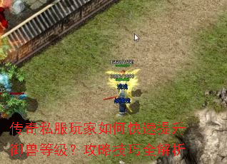 传奇私服玩家如何快速提升御兽等级?攻略技巧全解析 传奇私服玩家如何快速提升御兽等级?攻略技巧全解析