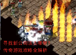寻找新公司该去哪里?传奇游戏攻略全解析 寻找新公司该去哪里?传奇游戏攻略全解析