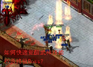 ��ο��پ�����������ɱ�ռ�Boss��