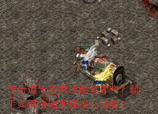 传奇道士常用技能有哪些?新手如何快速掌握核心技能? 传奇道士常用技能有哪些?新手如何快速掌握核心技能?