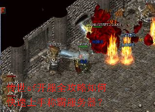传世sf开服全攻略如何快速上手称霸服务器? 传世sf开服全攻略如何快速上手称霸服务器?
