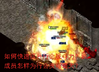 如何快速提升行会战斗力?新成员怎样为行会贡献最大? 如何快速提升行会战斗力?新成员怎样为行会贡献最大?