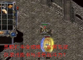 灵蝶打书全攻略:如何高效获取技能书与提升战斗力? 灵蝶打书全攻略:如何高效获取技能书与提升战斗力?
