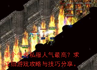 哪个传奇私服人气最高?求详细游戏攻略与技巧分享。 哪个传奇私服人气最高?求详细游戏攻略与技巧分享。