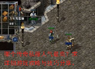 哪个传奇私服人气最高?求详细游戏攻略与技巧分享。 哪个传奇私服人气最高?求详细游戏攻略与技巧分享。