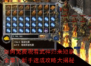 如何免费观看武神归来短剧全集?新手速成攻略大揭秘 如何免费观看武神归来短剧全集?新手速成攻略大揭秘