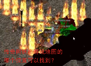 传奇树妖在游戏地图的哪个位置可以找到? 传奇树妖在游戏地图的哪个位置可以找到?