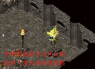 传奇私服新手选什么职业好?求大神推荐攻略 传奇私服新手选什么职业好?求大神推荐攻略