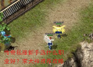 传奇私服新手选什么职业好?求大神推荐攻略 传奇私服新手选什么职业好?求大神推荐攻略