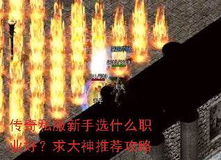 传奇私服新手选什么职业好?求大神推荐攻略 传奇私服新手选什么职业好?求大神推荐攻略