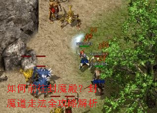 如何前往封魔殿?封魔道走法全攻略解析 如何前往封魔殿?封魔道走法全攻略解析