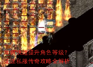 如何快速提升角色等级?征途私服传奇攻略全解析 如何快速提升角色等级?征途私服传奇攻略全解析