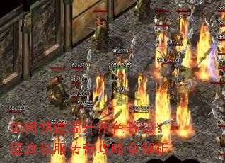 如何快速提升角色等级?征途私服传奇攻略全解析 如何快速提升角色等级?征途私服传奇攻略全解析