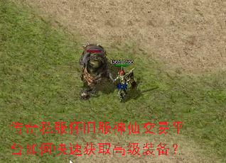 传奇私服怀旧服神仙交易平台如何快速获取高级装备? 传奇私服怀旧服神仙交易平台如何快速获取高级装备?
