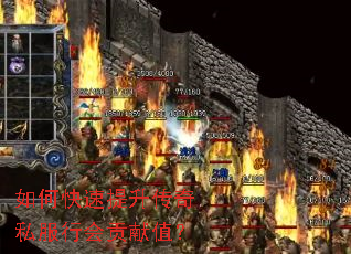 如何快速提升传奇私服行会贡献值? 如何快速提升传奇私服行会贡献值?